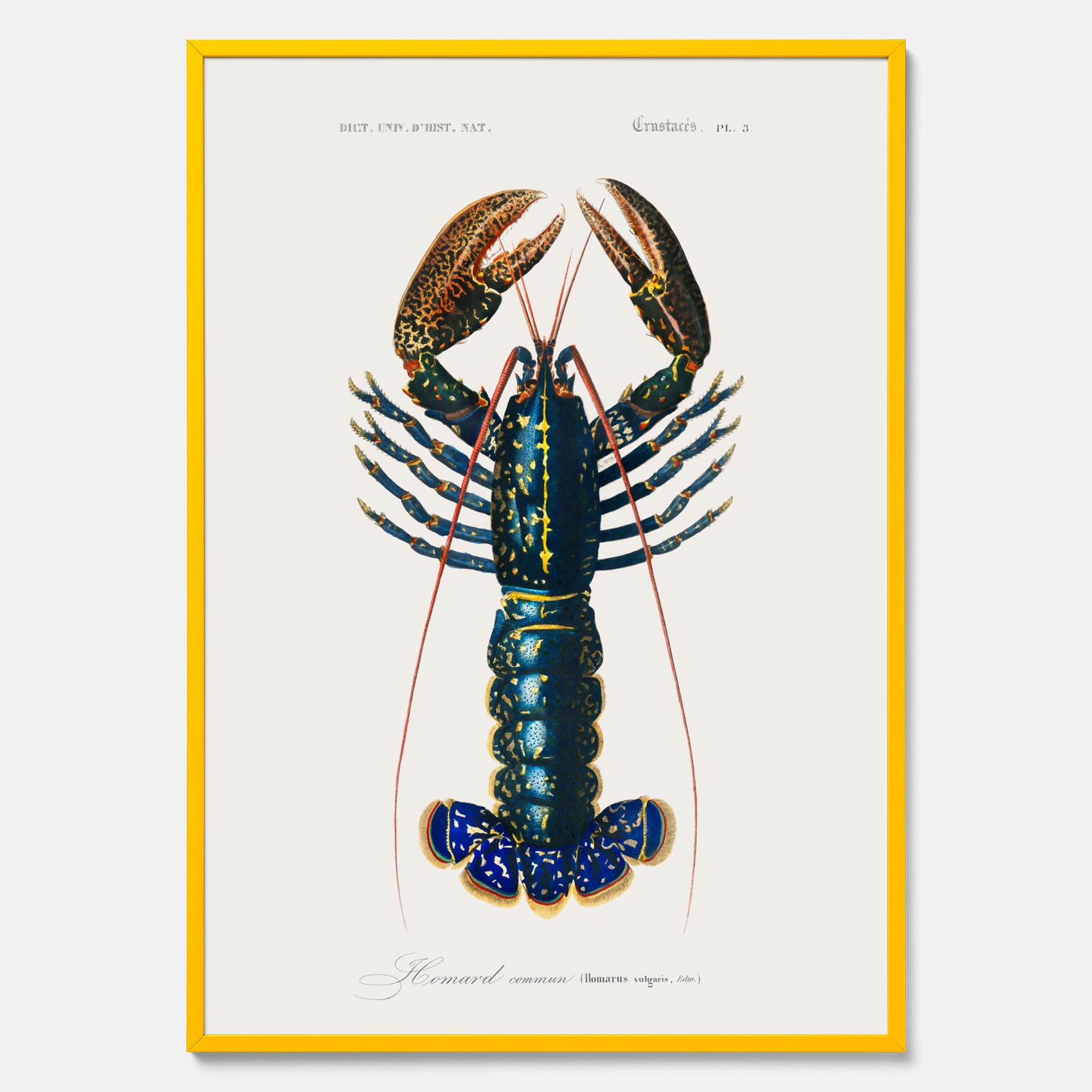 Kökstavla med Hummer poster till kök, hummerposter, skaldjur, köksposter, tavla till kök
