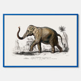 Historisk poster från 1837 som visar en illustration av en elefant