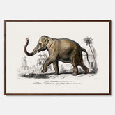 Historisk poster från 1837 som visar en illustration av en elefant