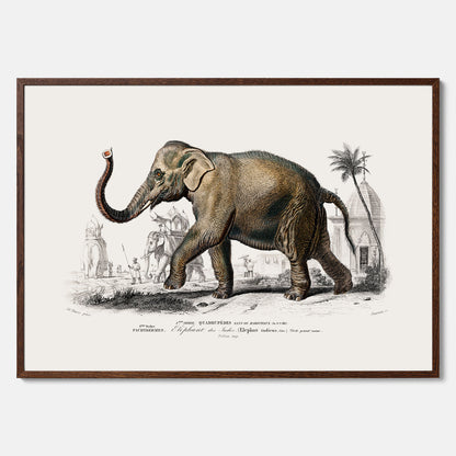 Historisk poster från 1837 som visar en illustration av en elefant