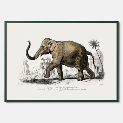 Historisk poster från 1837 som visar en illustration av en elefant