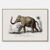 Historisk poster från 1837 som visar en illustration av en elefant i canvas