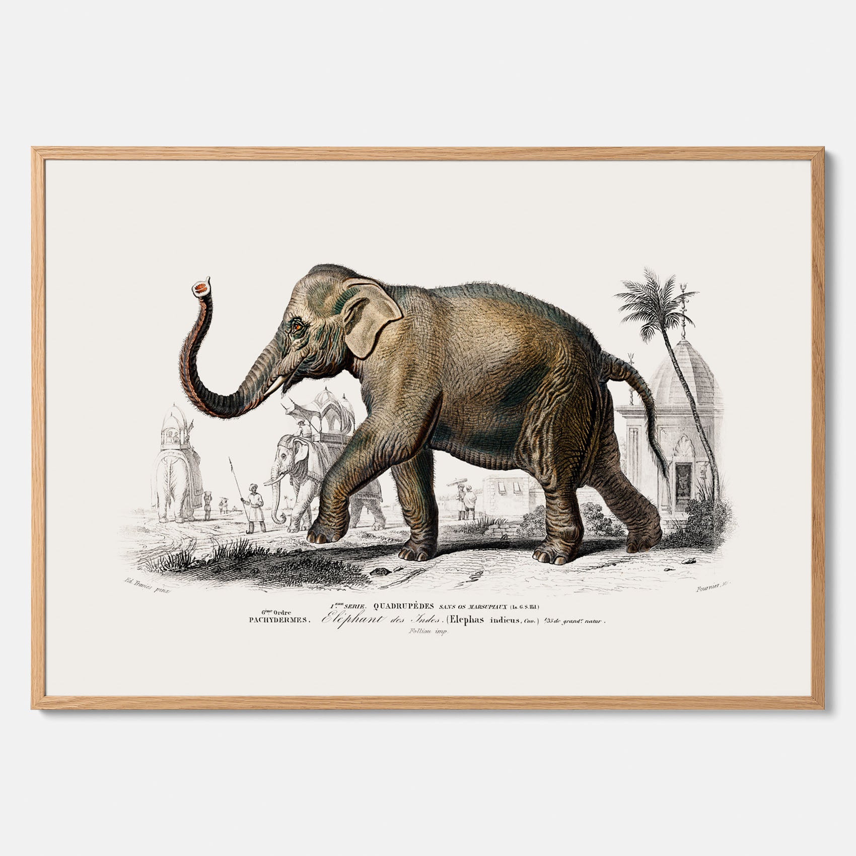 Historisk poster från 1837 som visar en illustration av en elefant