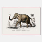 Historisk poster från 1837 som visar en illustration av en elefant
