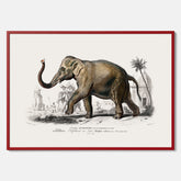 Historisk poster från 1837 som visar en illustration av en elefant
