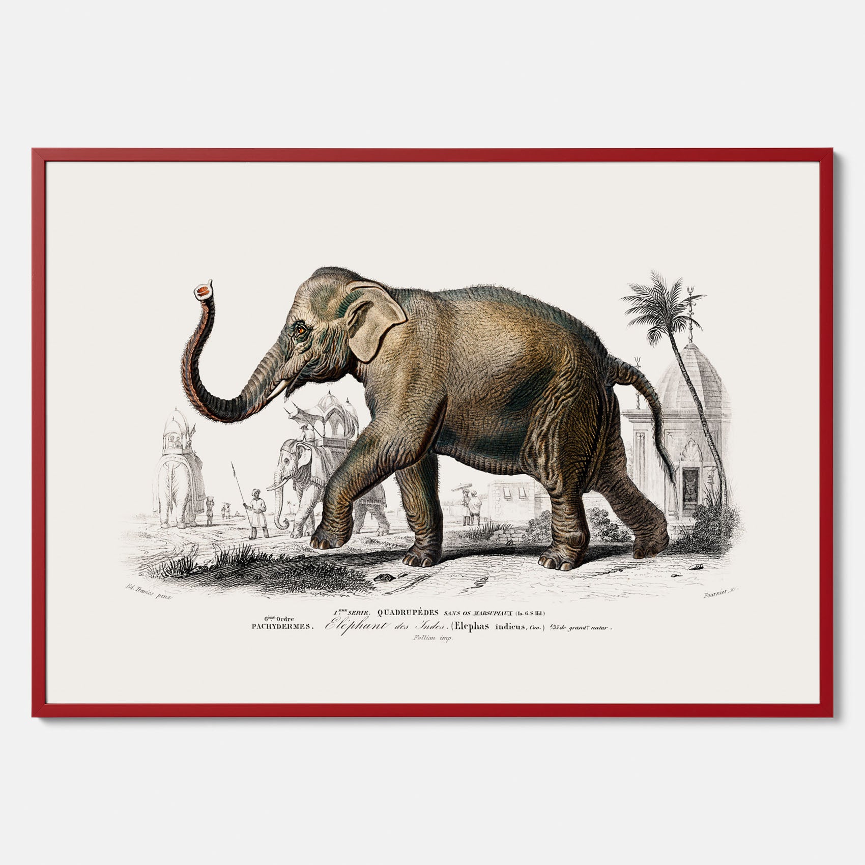Historisk poster från 1837 som visar en illustration av en elefant