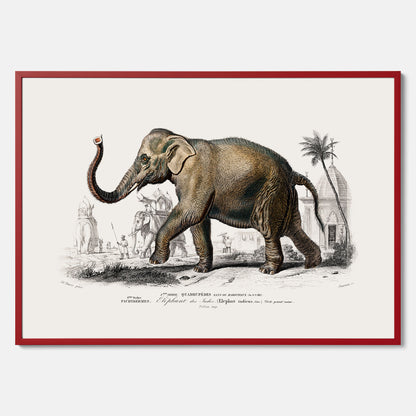 Historisk poster från 1837 som visar en illustration av en elefant