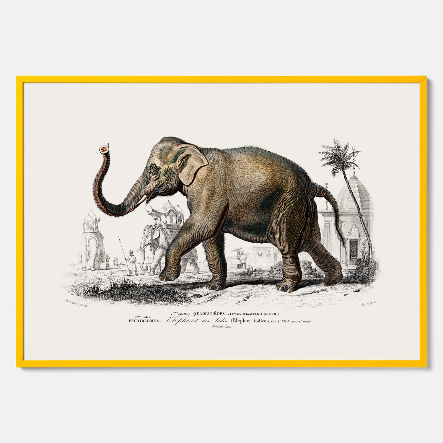 Historisk poster från 1837 som visar en illustration av en elefant
