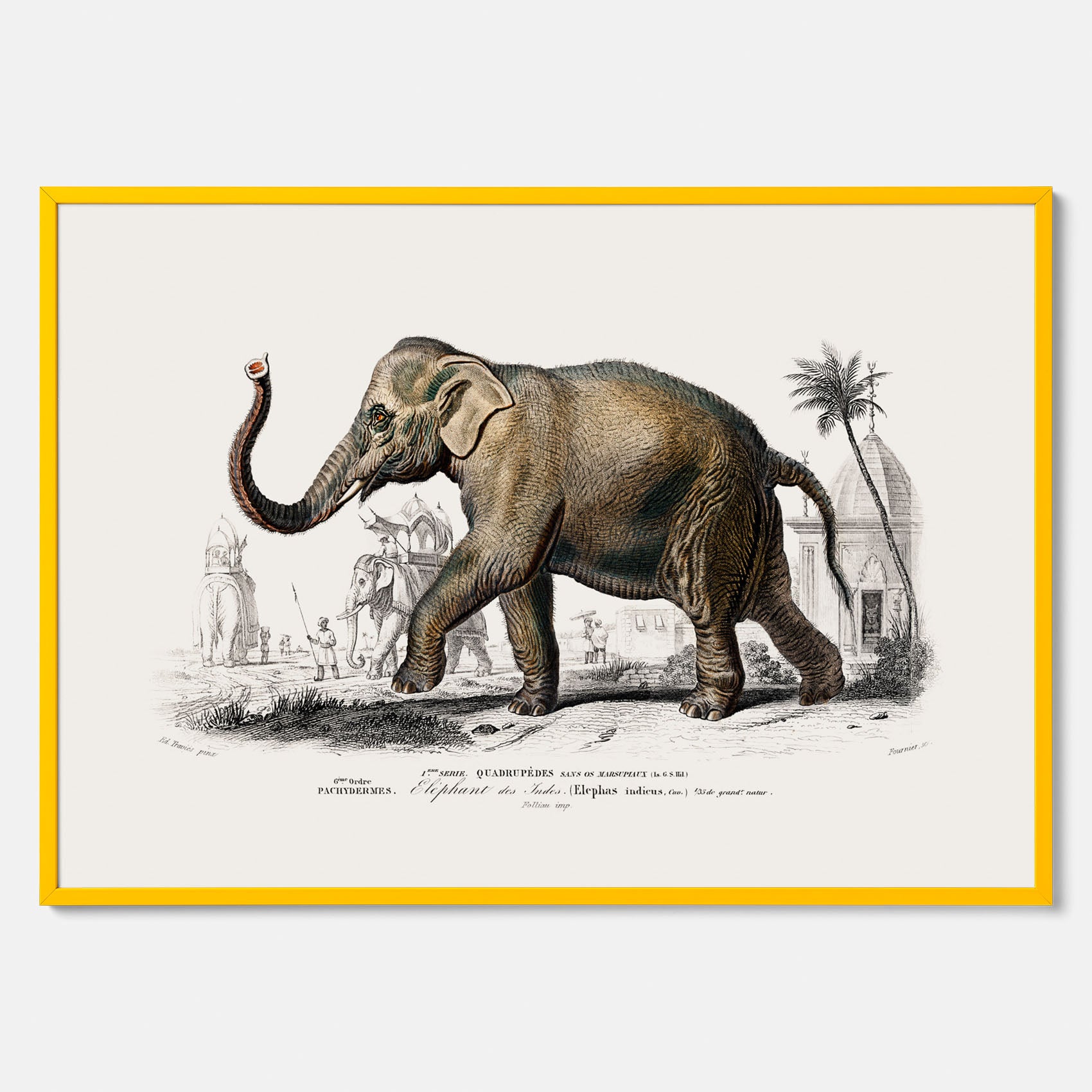 Historisk poster från 1837 som visar en illustration av en elefant