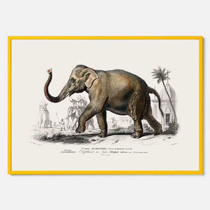 Historisk poster från 1837 som visar en illustration av en elefant