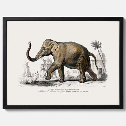 Historisk poster från 1837 som visar en illustration av en elefant