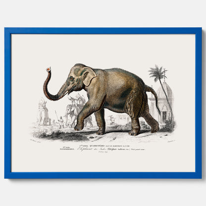 Historisk poster från 1837 som visar en illustration av en elefant