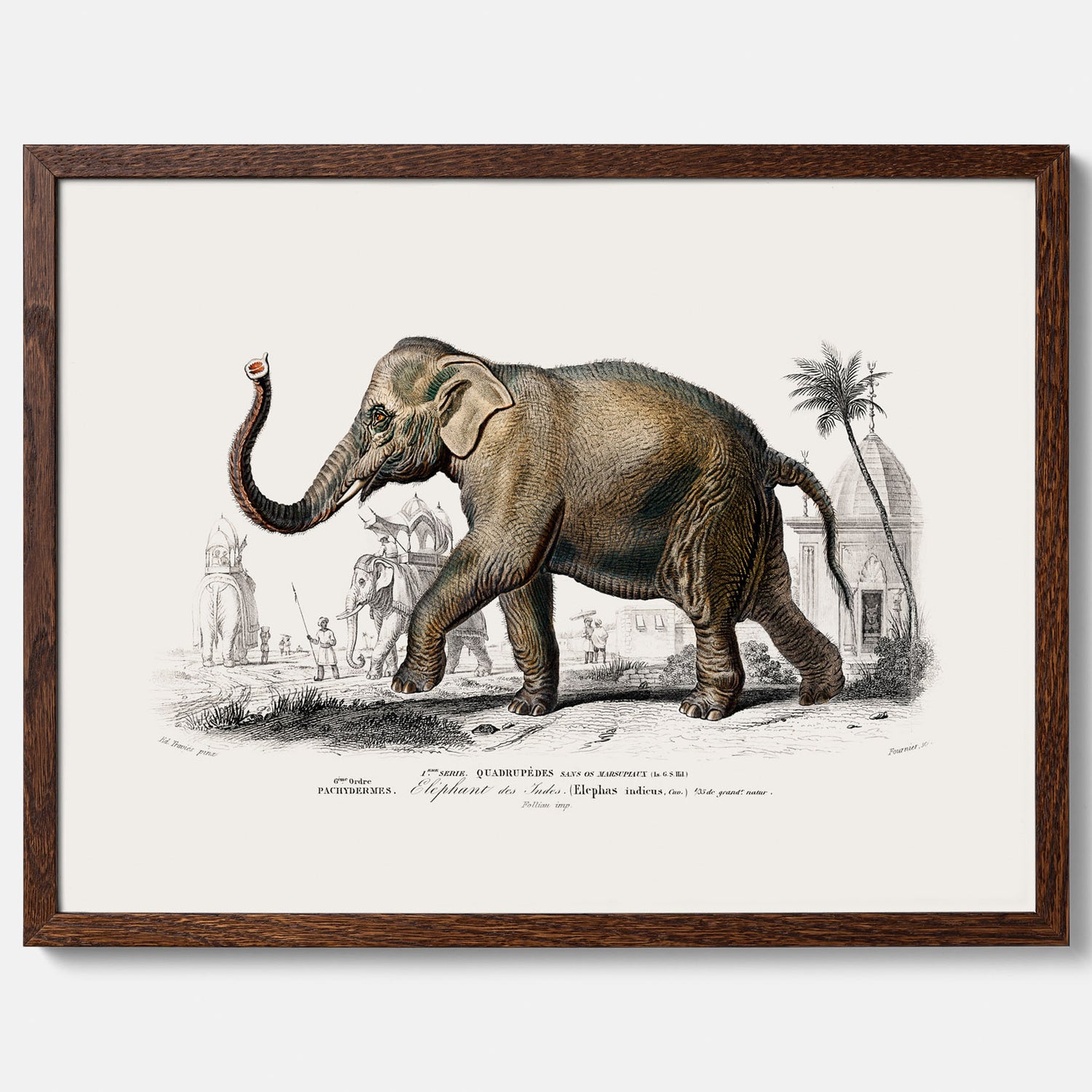 Historisk poster från 1837 som visar en illustration av en elefant