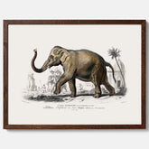 Historisk poster från 1837 som visar en illustration av en elefant