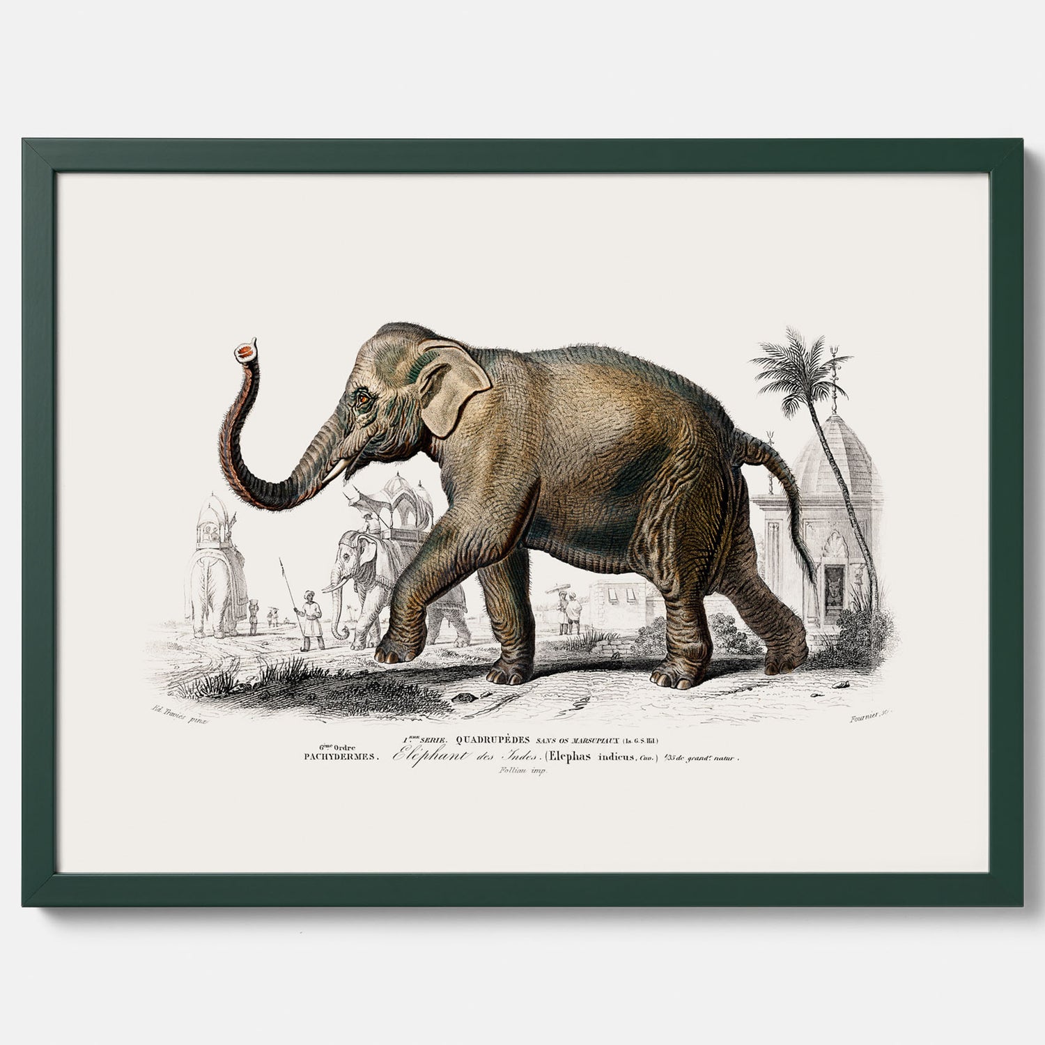 Historisk poster från 1837 som visar en illustration av en elefant