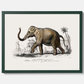 Historisk poster från 1837 som visar en illustration av en elefant