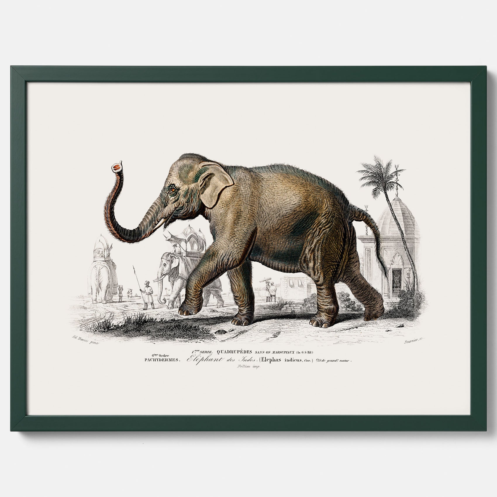 Historisk poster från 1837 som visar en illustration av en elefant