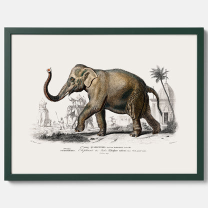 Historisk poster från 1837 som visar en illustration av en elefant