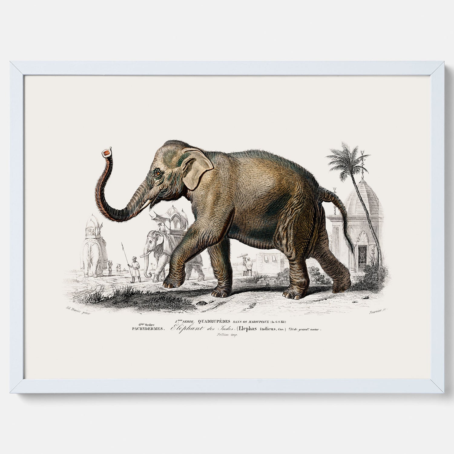 Historisk poster från 1837 som visar en illustration av en elefant
