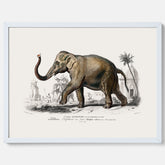 Historisk poster från 1837 som visar en illustration av en elefant