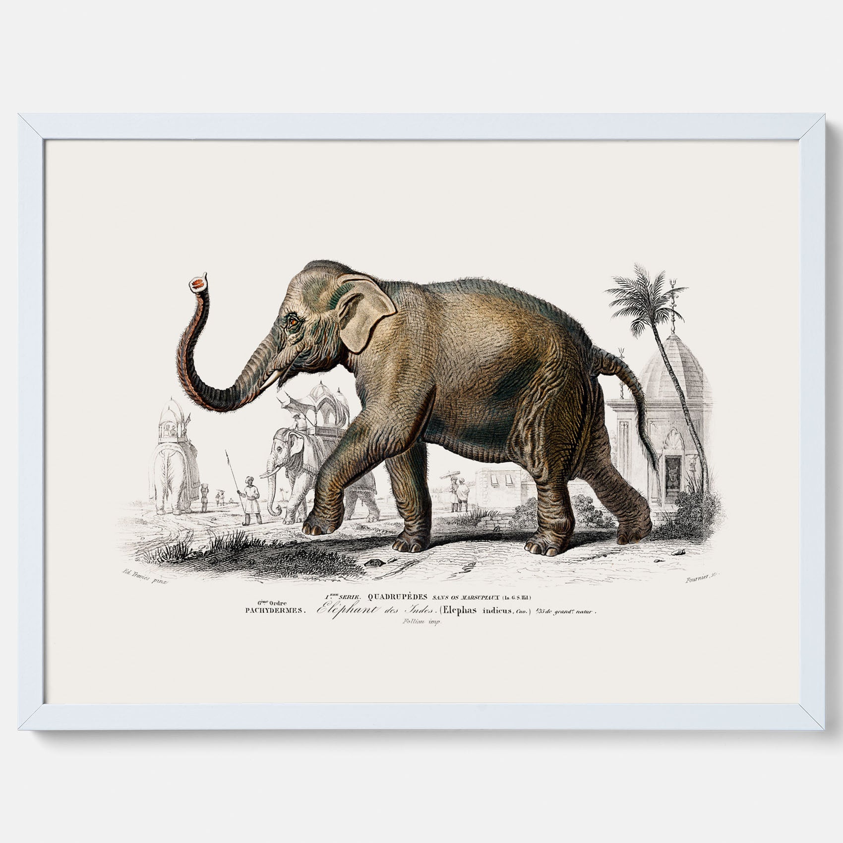 Historisk poster från 1837 som visar en illustration av en elefant