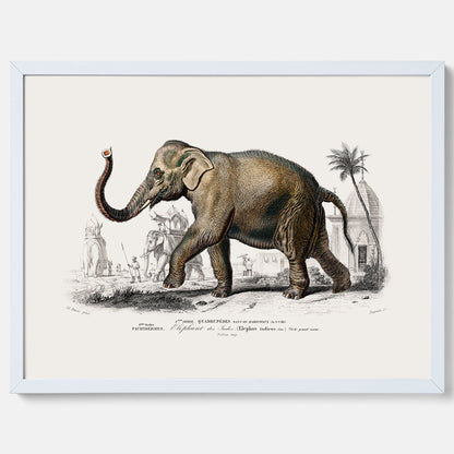 Historisk poster från 1837 som visar en illustration av en elefant