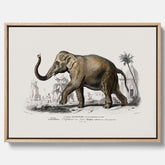 Historisk poster från 1837 som visar en illustration av en elefant i canvas