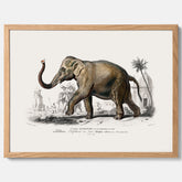 Historisk poster från 1837 som visar en illustration av en elefant