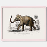 Historisk poster från 1837 som visar en illustration av en elefant