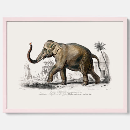 Historisk poster från 1837 som visar en illustration av en elefant