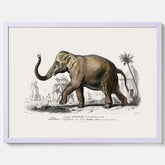 Historisk poster från 1837 som visar en illustration av en elefant