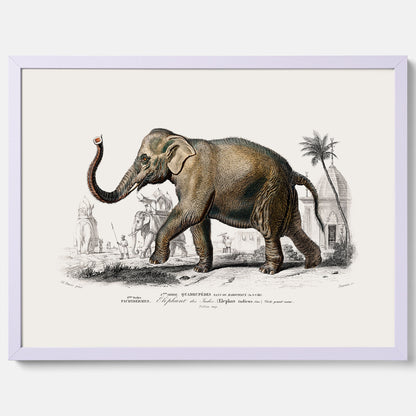 Historisk poster från 1837 som visar en illustration av en elefant