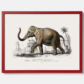 Historisk poster från 1837 som visar en illustration av en elefant
