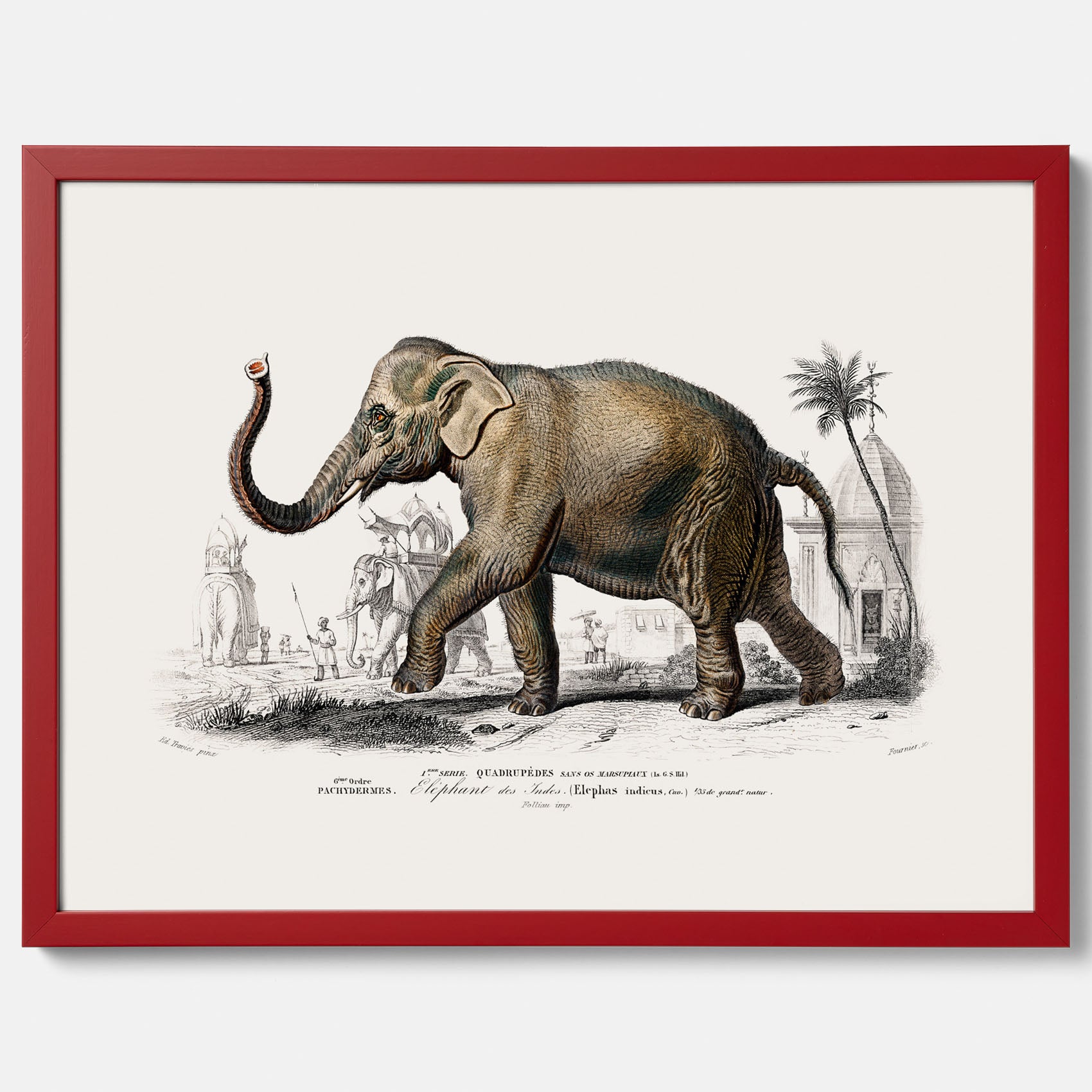 Historisk poster från 1837 som visar en illustration av en elefant