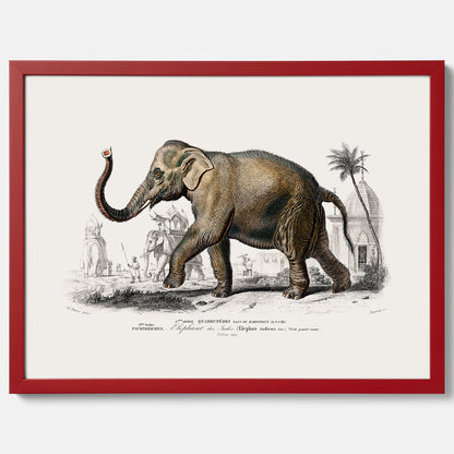 Historisk poster från 1837 som visar en illustration av en elefant