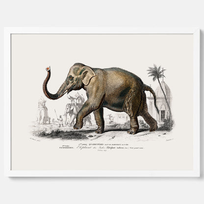 Historisk poster från 1837 som visar en illustration av en elefant