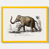 Historisk poster från 1837 som visar en illustration av en elefant