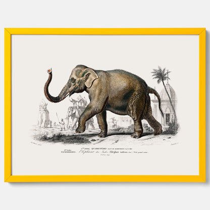 Historisk poster från 1837 som visar en illustration av en elefant