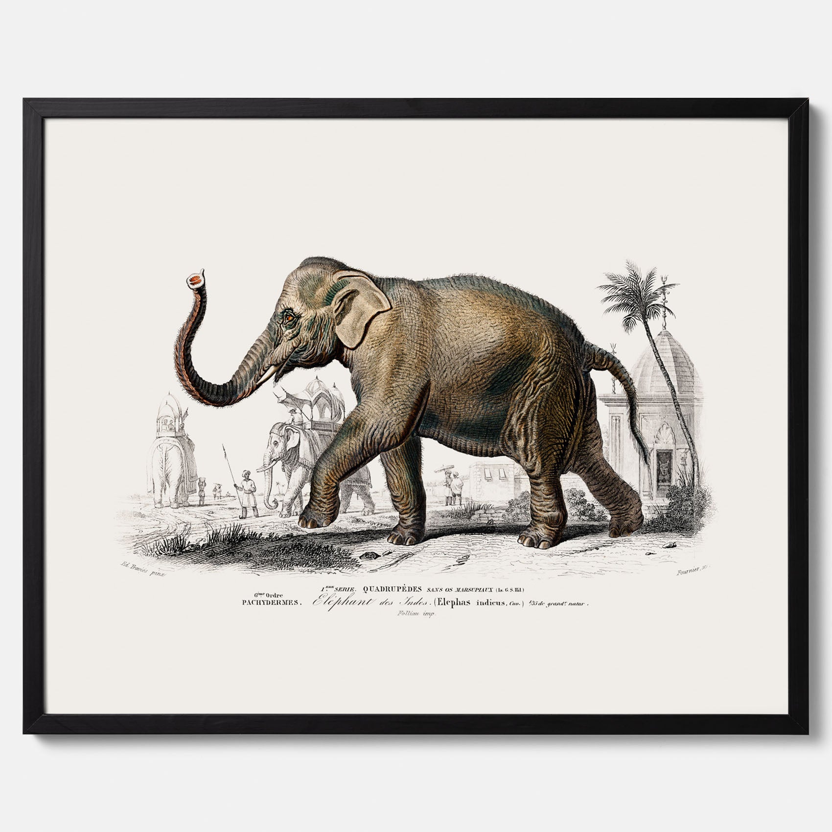 Historisk poster från 1837 som visar en illustration av en elefant