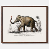 Historisk poster från 1837 som visar en illustration av en elefant