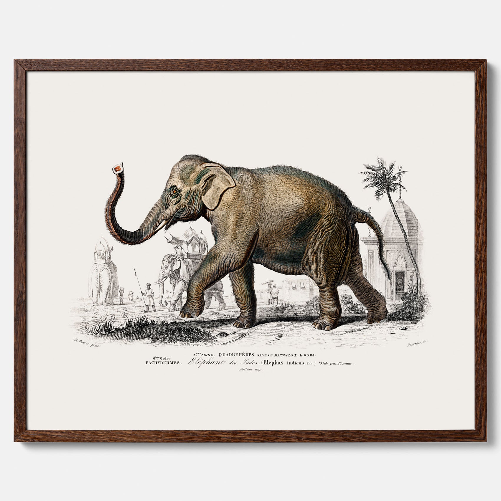 Historisk poster från 1837 som visar en illustration av en elefant
