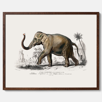 Historisk poster från 1837 som visar en illustration av en elefant