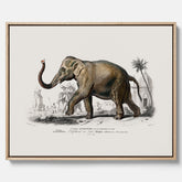 Historisk poster från 1837 som visar en illustration av en elefant i canvas