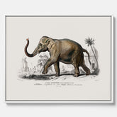 Historisk poster från 1837 som visar en illustration av en elefant i canvas