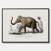 Historisk poster från 1837 som visar en illustration av en elefant i canvas