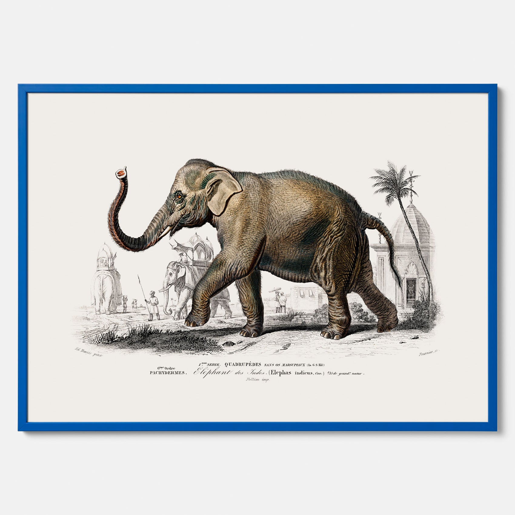 Historisk poster från 1837 som visar en illustration av en elefant