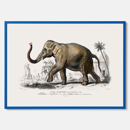 Historisk poster från 1837 som visar en illustration av en elefant