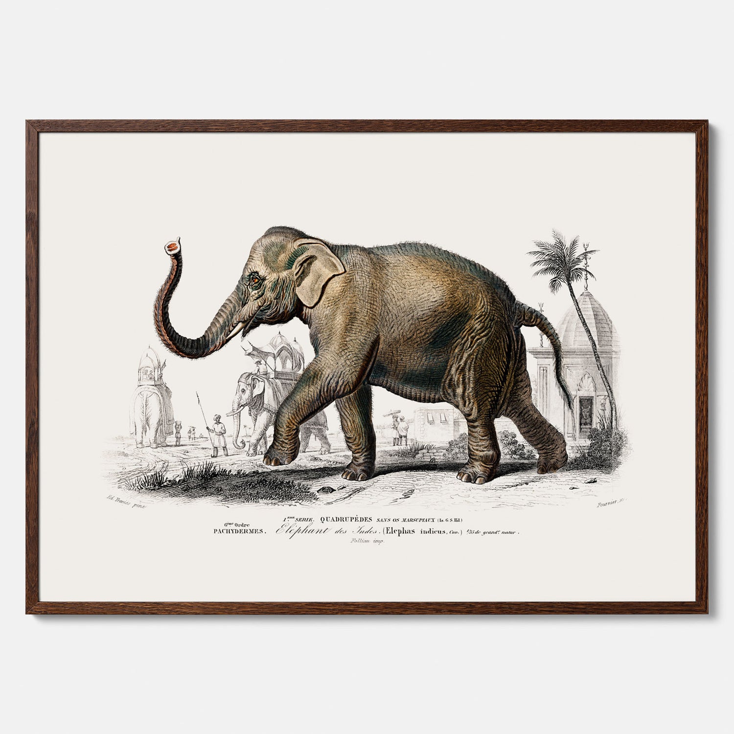 Historisk poster från 1837 som visar en illustration av en elefant