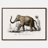Historisk poster från 1837 som visar en illustration av en elefant