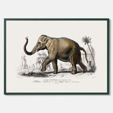 Historisk poster från 1837 som visar en illustration av en elefant